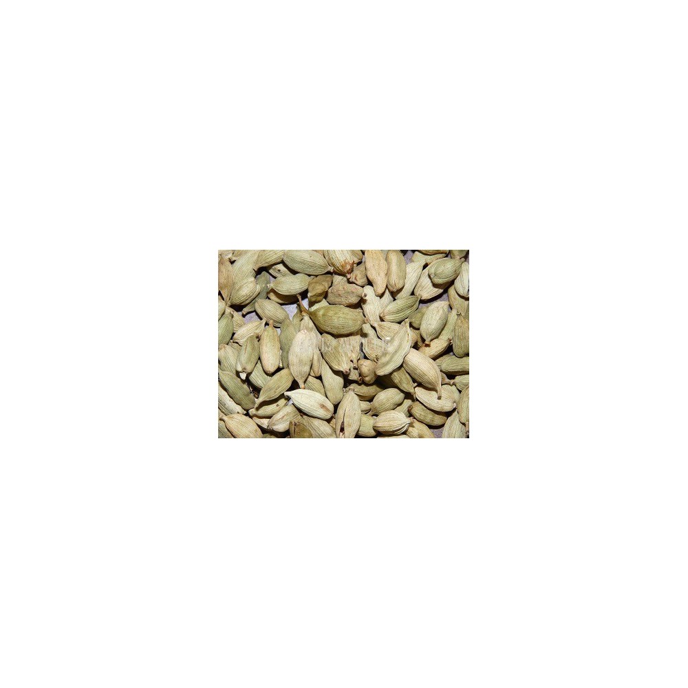 Cardamome