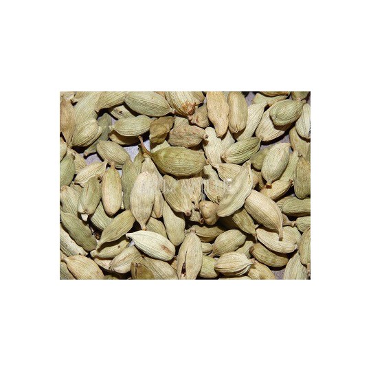 Cardamome