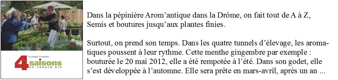 Arom'antique et les 4 saisons du jardinage