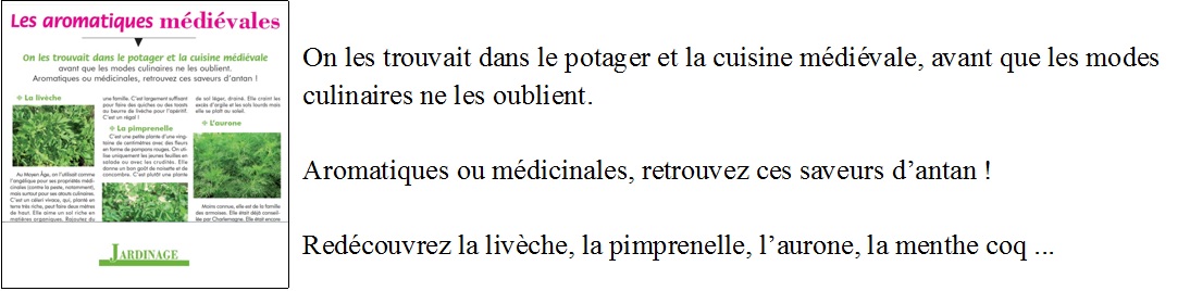 article de presse sur les aromatiques médiévales