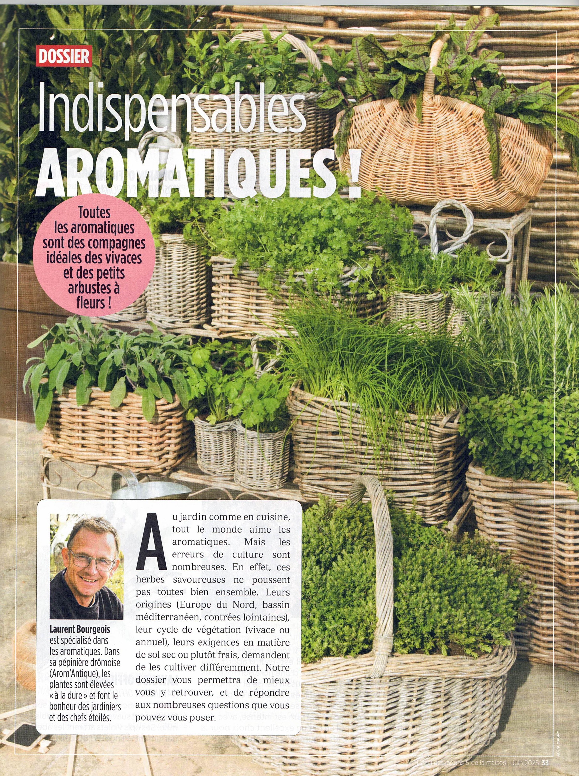 première page du dossier plantes aromatiques