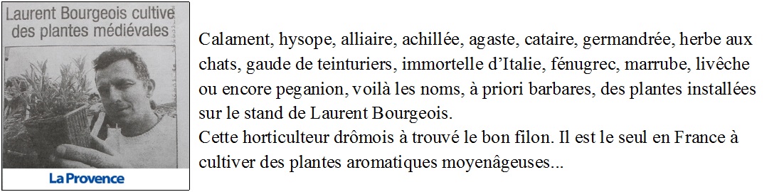 14 La provence laurent cultive des .jpg