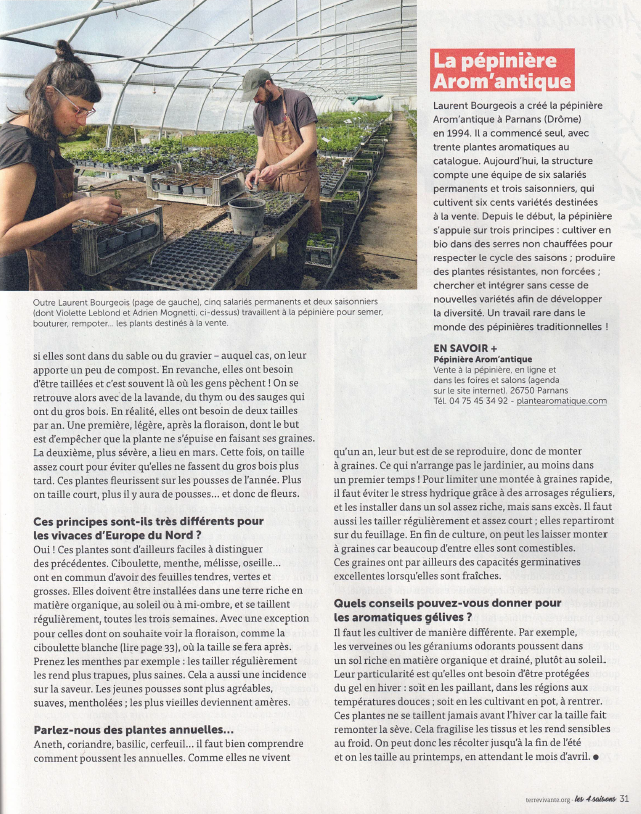 Article plantes aromatiques les 4 saisons du jardinage