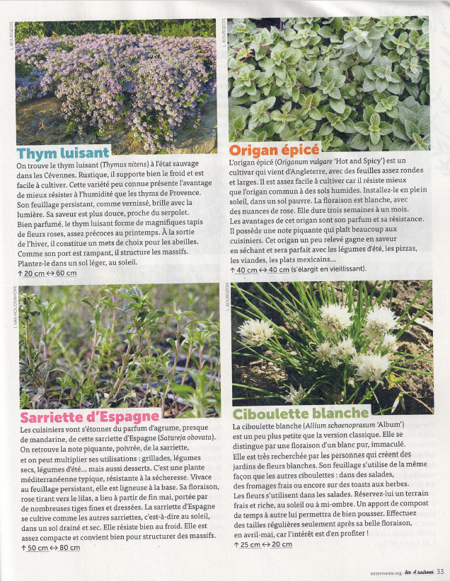 Des plantes originales, un article dans les 4 saisons du jardinage