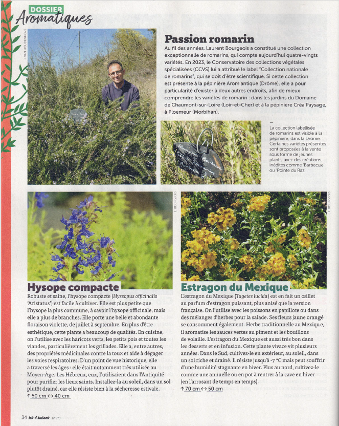 Plantes originales dans l'article du magazine les 4 saisons du jardinage