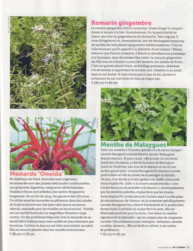 Des aromatiques à découvrir dans le magazine les 4 saisons du jardinage
