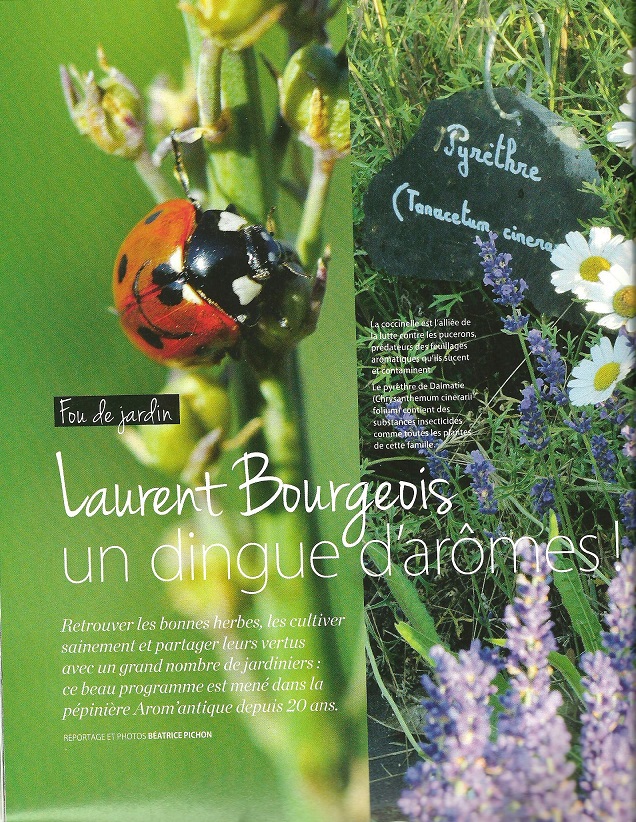 Article mon jardin et ma maison