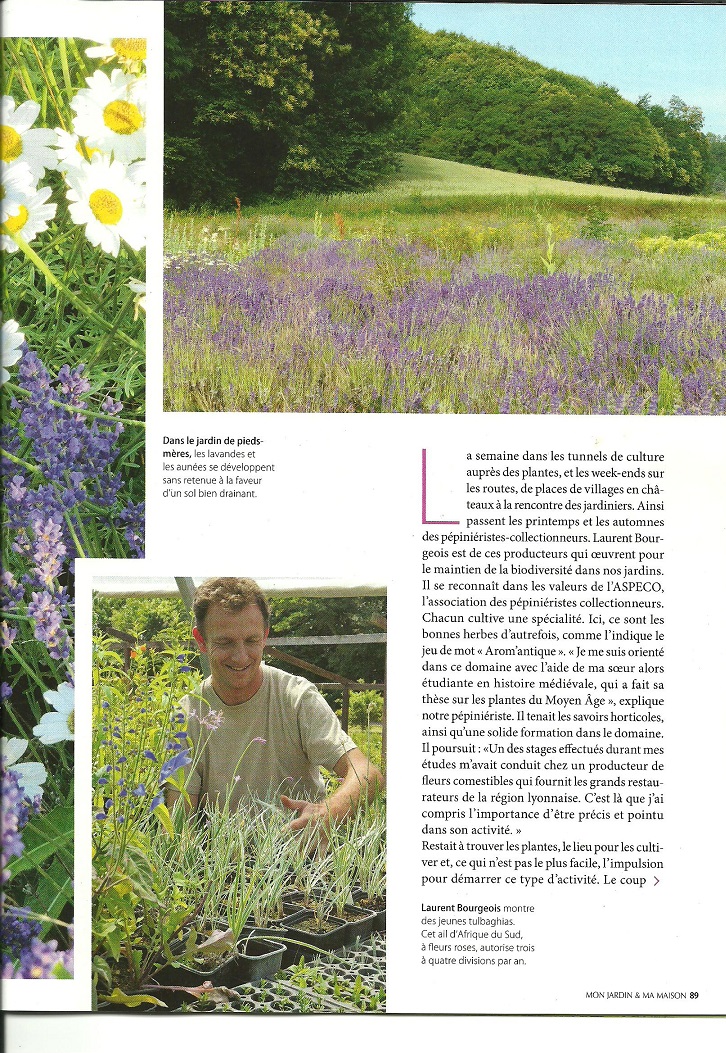 Article mon jardin et ma maison photos et textes