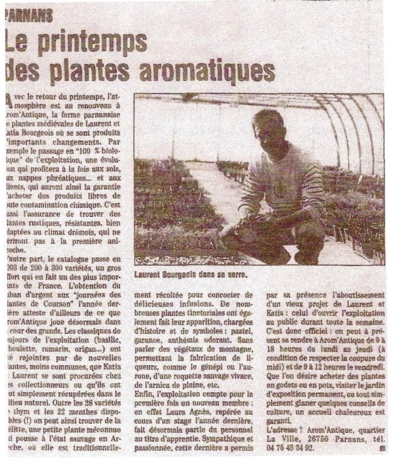 Le printemps des plantes aromatiques