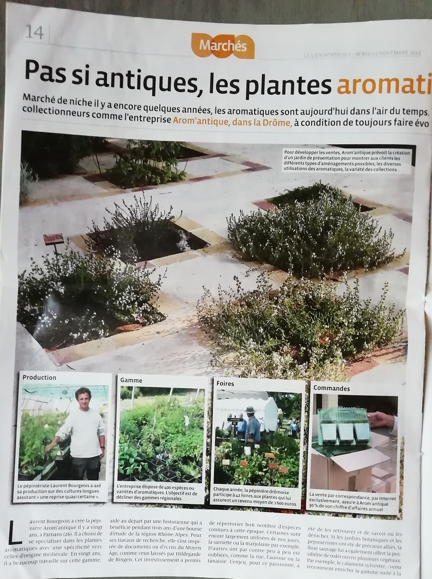 Arom'antique dans le lien horticole