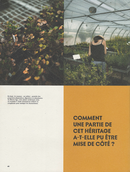 Magazine sur les plantes médiévales