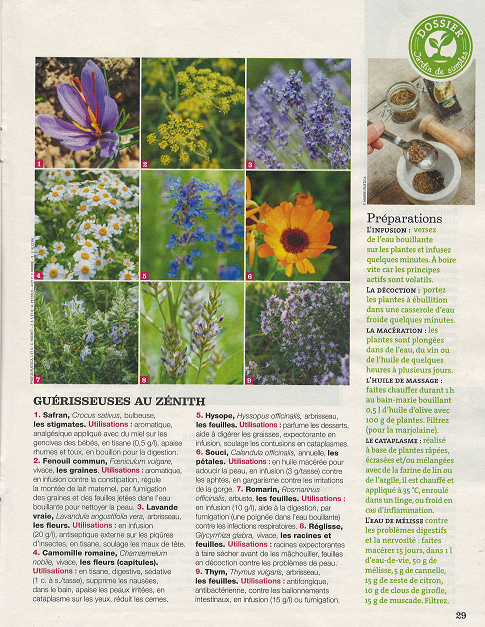 Article sur les aromatiques dans Rustica