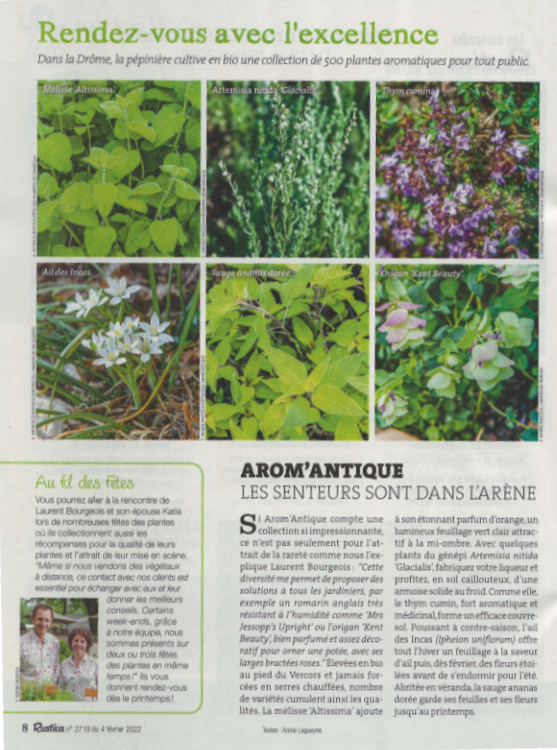 Rustica, article sur les plantes aromatiques
