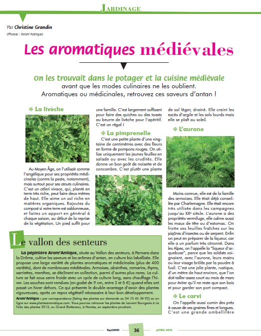 articles sur les aromatiques médiévales de Arom'antique