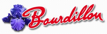 logo%20bourdillon.jpg