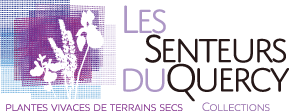 logo%20senteurs%20du%20Q.jpg