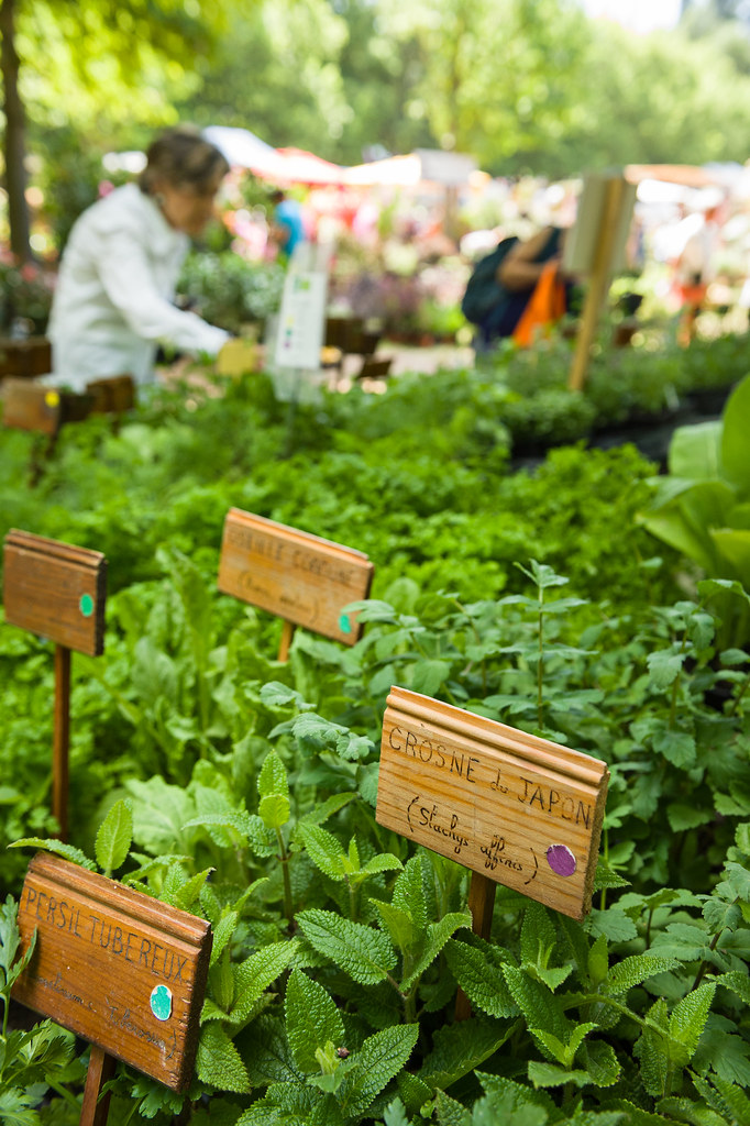 journées des plantes Albertas.jpg