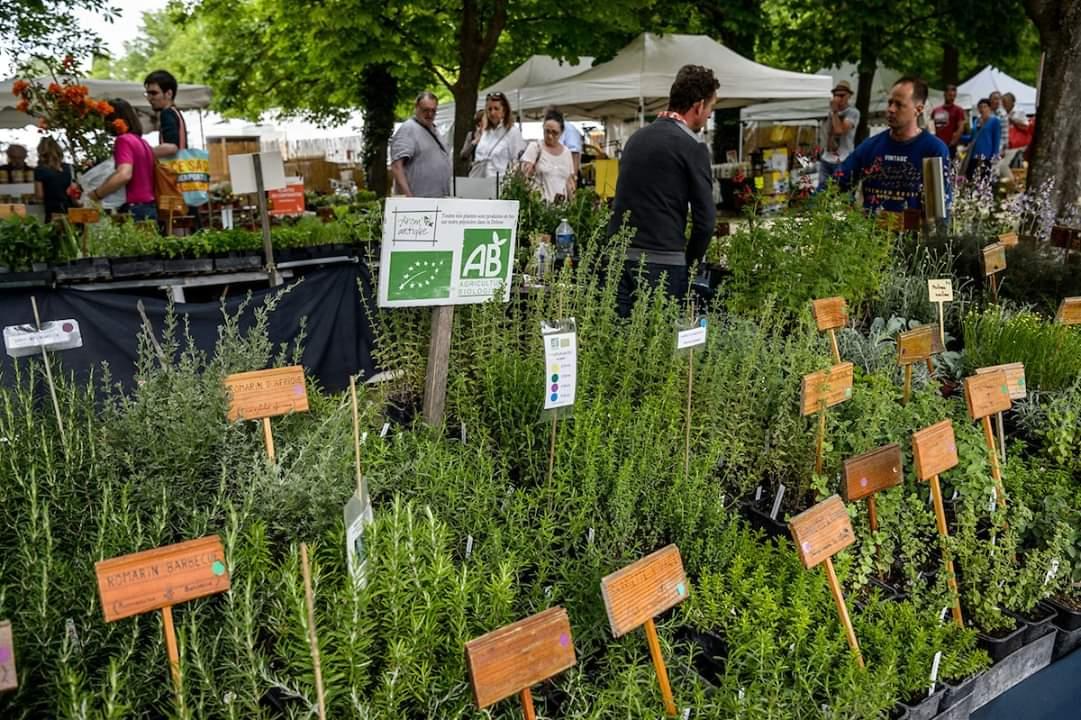 Foire aux plantes de la pépinière Arom'antique