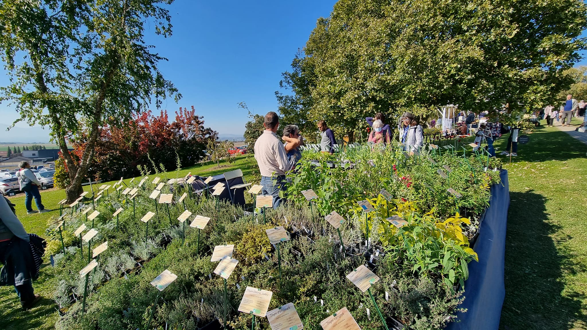 Foire aux plantes automne