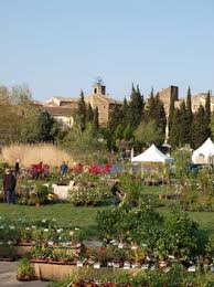 foire aux plantes Serignan.jpg