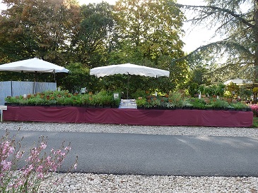 Foire aux plantes Arom'antique