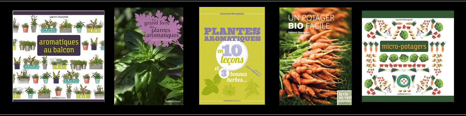 Livres de Laurent Bourgeois