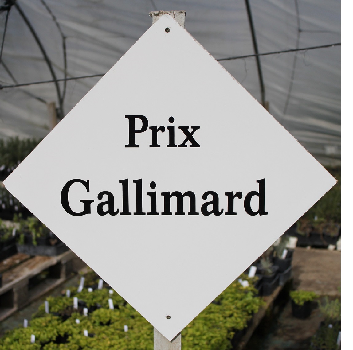 prix galimard.jpg